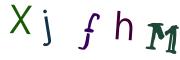 圖片的 CAPTCHA