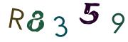 圖片的 CAPTCHA