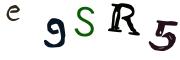 圖片的 CAPTCHA